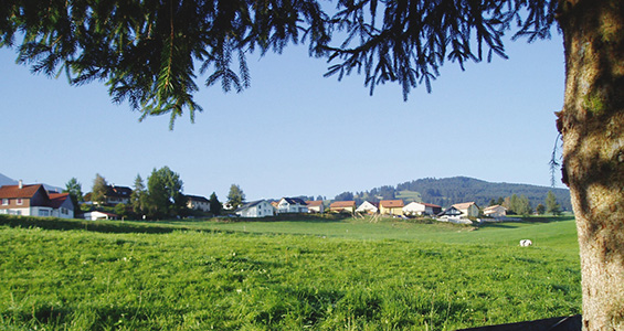 Quartier Munafo 2007