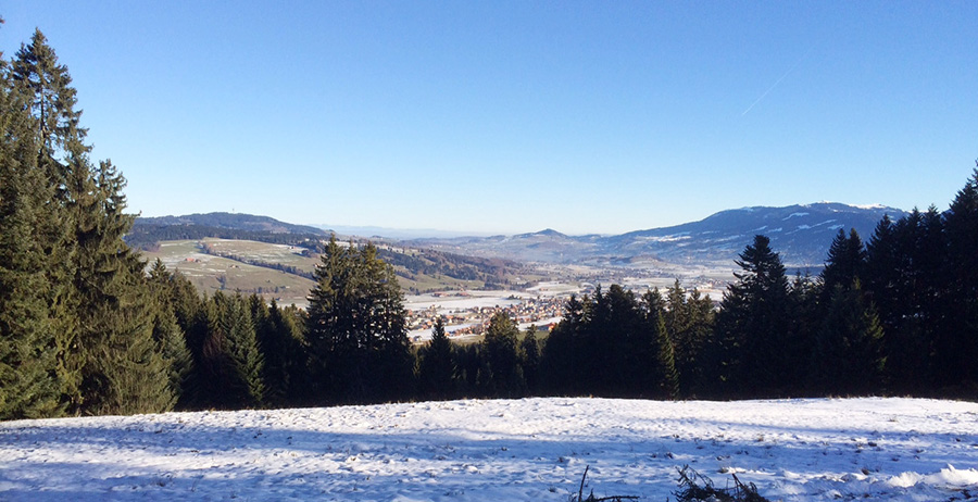 Vuadens hiver 2013